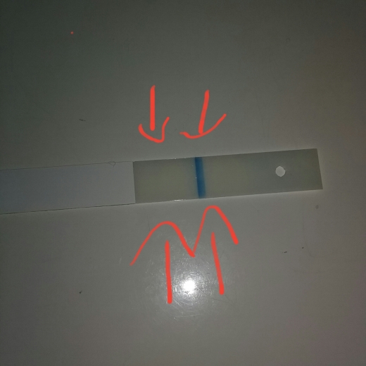 CVS Early Result Pregnancy Test, Cycle Day 30