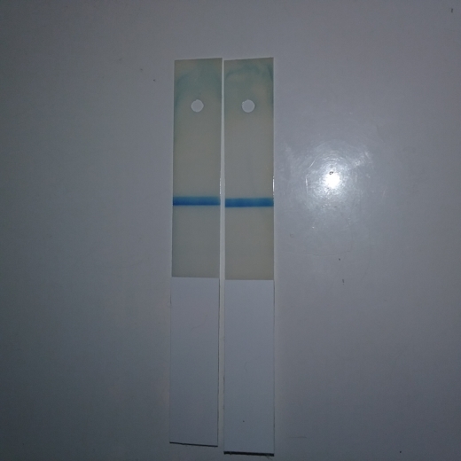 CVS Early Result Pregnancy Test