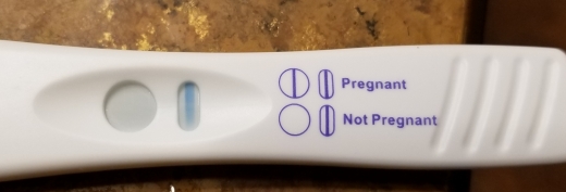 Equate One Step Pregnancy Test