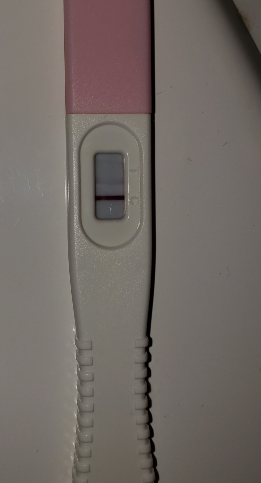 Home Pregnancy Test, FMU