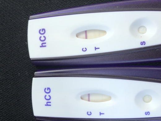 New Choice Pregnancy Test
