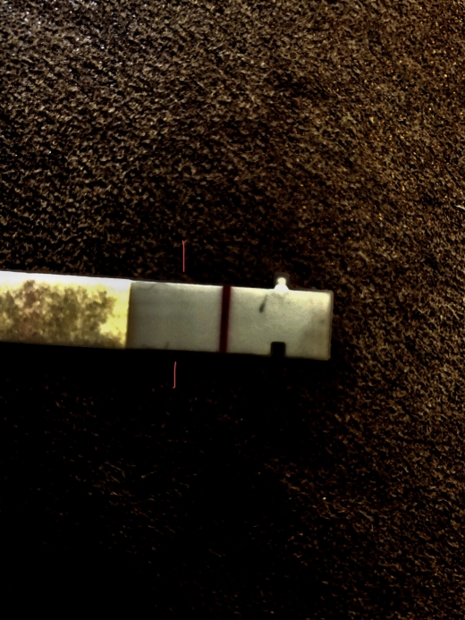 First Response Early Pregnancy Test