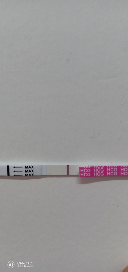 Home Pregnancy Test, 7 Days Post Ovulation, FMU