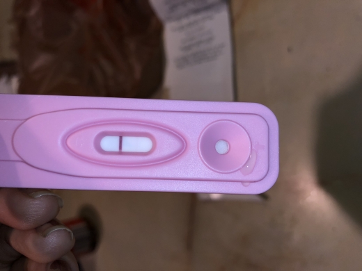 New Choice Pregnancy Test, 14 Days Post Ovulation, FMU, Cycle Day 27