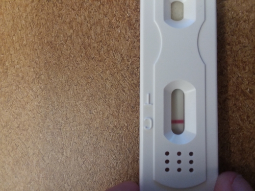 New Choice Pregnancy Test