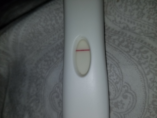 Home Pregnancy Test