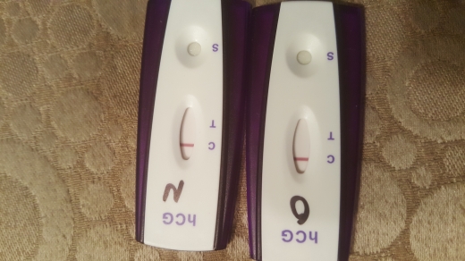 Home Pregnancy Test