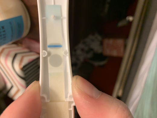 Home Pregnancy Test