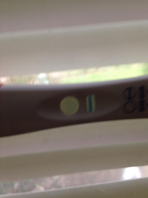 Home Pregnancy Test