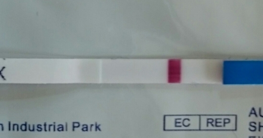 Home Pregnancy Test, Cycle Day 22
