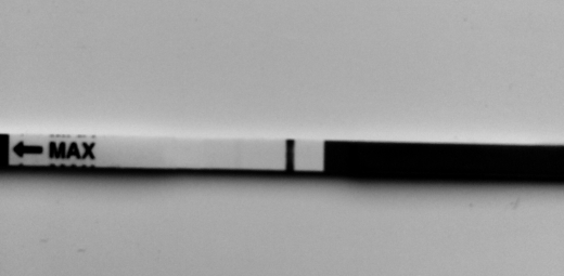 Generic Pregnancy Test, FMU