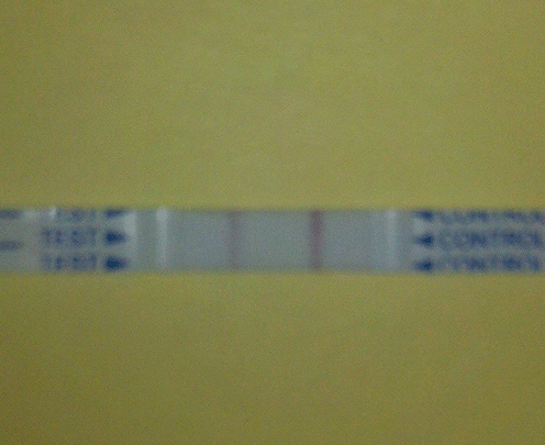 Generic Pregnancy Test, FMU