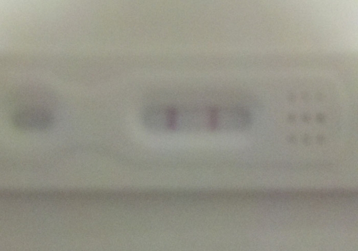 Generic Pregnancy Test, FMU