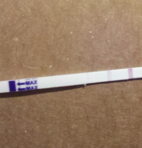 Babi One Step Pregnancy Test, 14 Days Post Ovulation, FMU