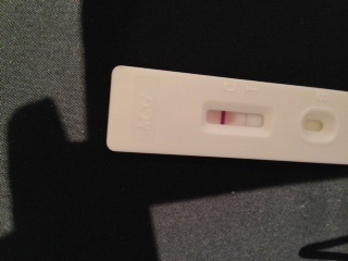 Generic Pregnancy Test, 10 Days Post Ovulation
