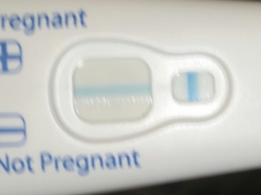 Clearblue Plus Pregnancy Test, 16 Days Post Ovulation