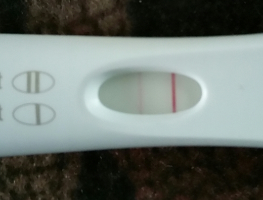 First Response Early Pregnancy Test, 12 Days Post Ovulation