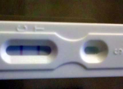 New Choice Pregnancy Test, 14 Days Post Ovulation, FMU, Cycle Day 29