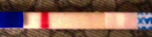 Generic Pregnancy Test, 13 Days Post Ovulation, FMU