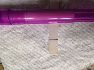First Response Early Pregnancy Test, 10 Days Post Ovulation, FMU