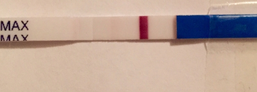 Home Pregnancy Test