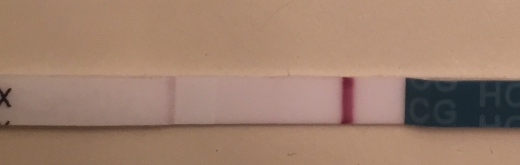 Home Pregnancy Test