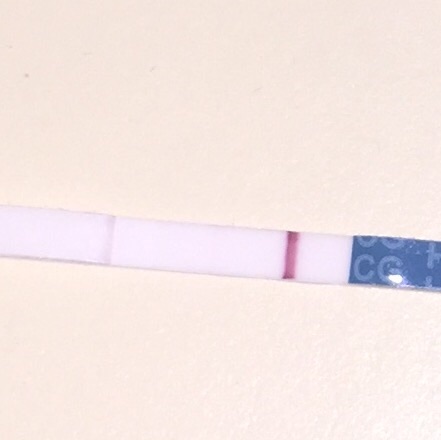 Wondfo Test Strips Pregnancy Test, 13 Days Post Ovulation, FMU