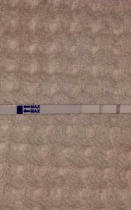 Generic Pregnancy Test, 12 Days Post Ovulation, FMU, Cycle Day 27