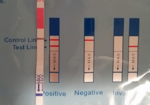 Generic Pregnancy Test, 10 Days Post Ovulation, FMU, Cycle Day 25