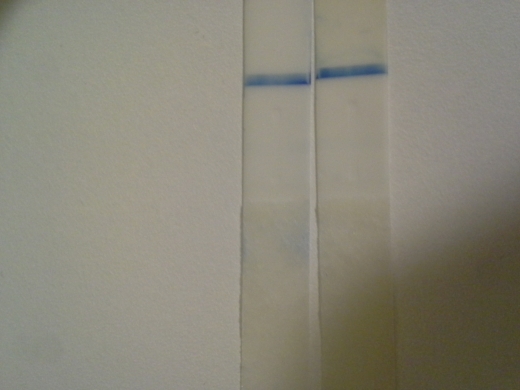 Home Pregnancy Test