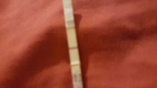Home Pregnancy Test