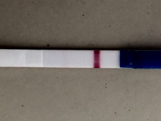 Generic Pregnancy Test, 11 Days Post Ovulation