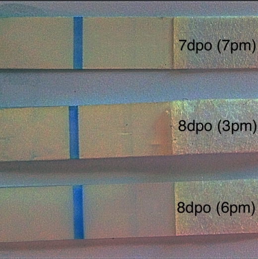 Generic Pregnancy Test, 8 Days Post Ovulation, Cycle Day 22
