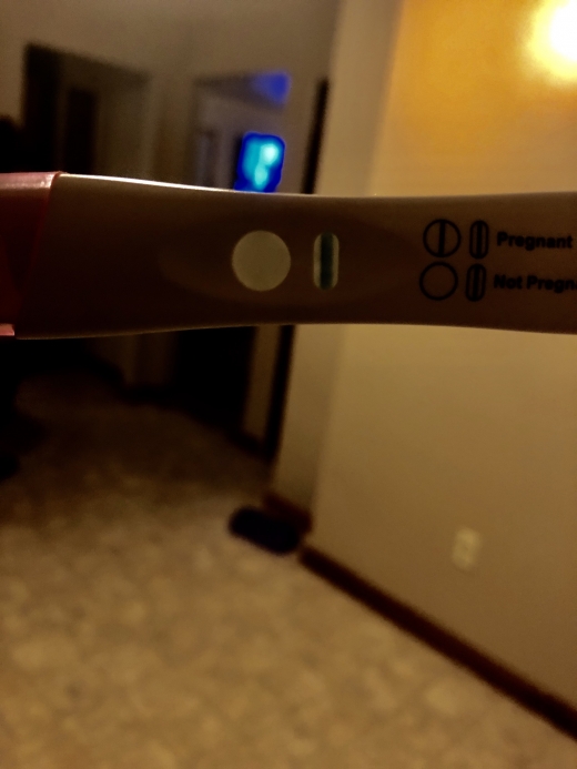 Equate One Step Pregnancy Test