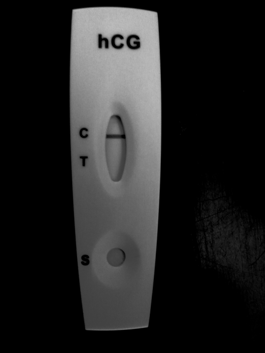 Home Pregnancy Test