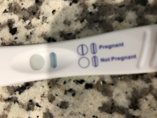 Equate One Step Pregnancy Test, 10 Days Post Ovulation, Cycle Day 24