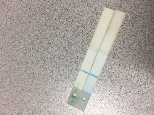 Walgreens Digital Pregnancy Test, 10 Days Post Ovulation, FMU, Cycle Day 24