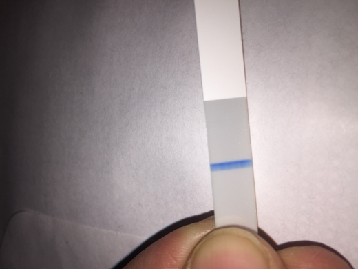CVS Early Result Pregnancy Test, 12 Days Post Ovulation, Cycle Day 28