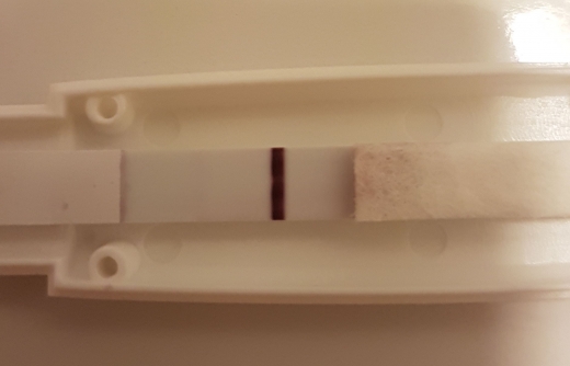 Home Pregnancy Test