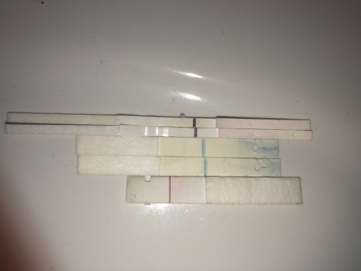 First Response Rapid Pregnancy Test, 17 Days Post Ovulation