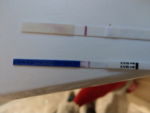 Home Pregnancy Test