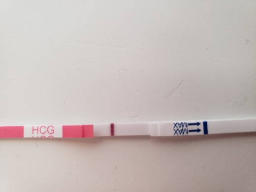 Home Pregnancy Test