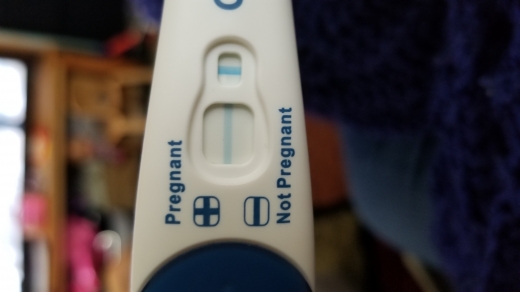 Clearblue Plus Pregnancy Test, Cycle Day 35