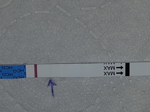 Home Pregnancy Test, FMU