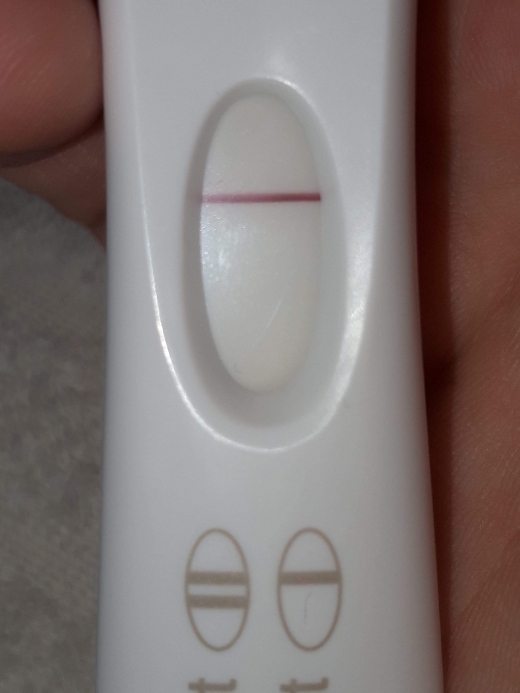 Home Pregnancy Test