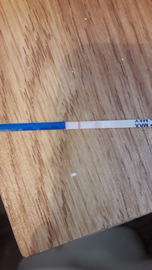 Home Pregnancy Test, 16 Days Post Ovulation