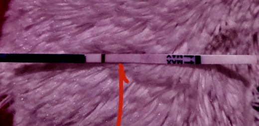 CVS One Step Pregnancy Test, 7 Days Post Ovulation, FMU