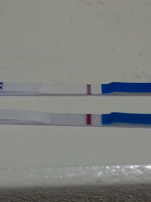 Home Pregnancy Test, FMU