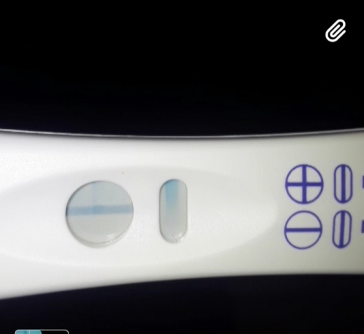 CVS One Step Pregnancy Test