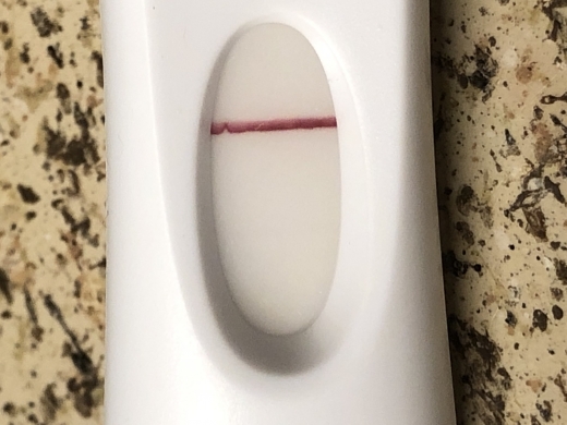 Home Pregnancy Test